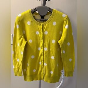 Ann Taylor Women’s Polkadot Sweater
